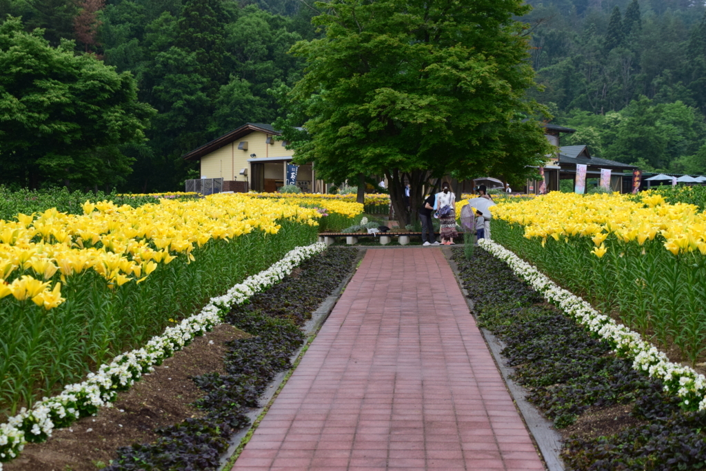 f:id:rtaroyma:20170626100745j:plain