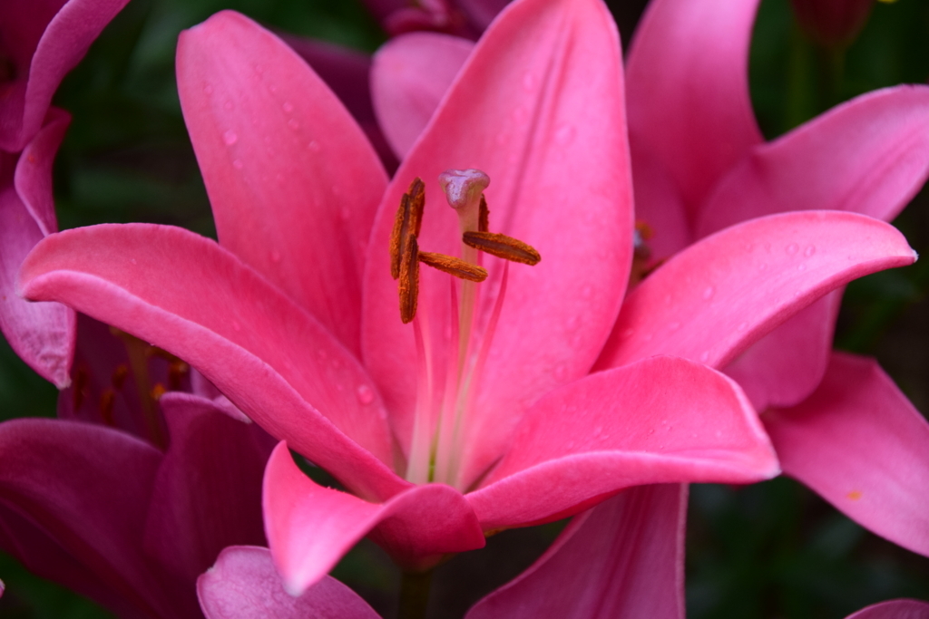 f:id:rtaroyma:20170626101401j:plain