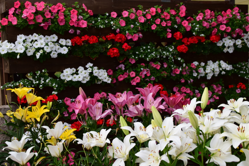 f:id:rtaroyma:20170626101808j:plain