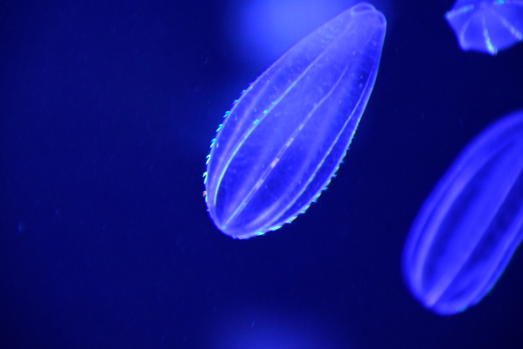 f:id:rtaroyma:20170702231746j:plain f:id:rtaroyma:20170702231746j:plain