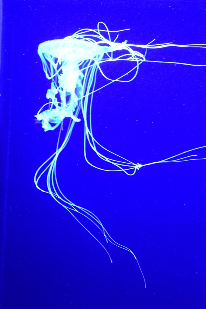 f:id:rtaroyma:20170702231915j:plain f:id:rtaroyma:20170702231915j:plain