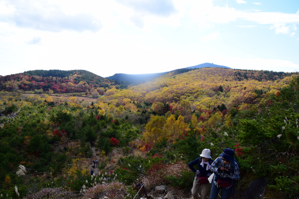 f:id:rtaroyma:20171009180535j:plain