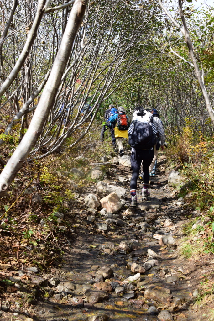 f:id:rtaroyma:20171009181544j:plain