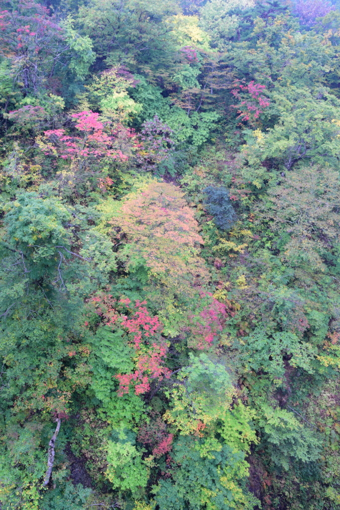 f:id:rtaroyma:20171016032500j:plain