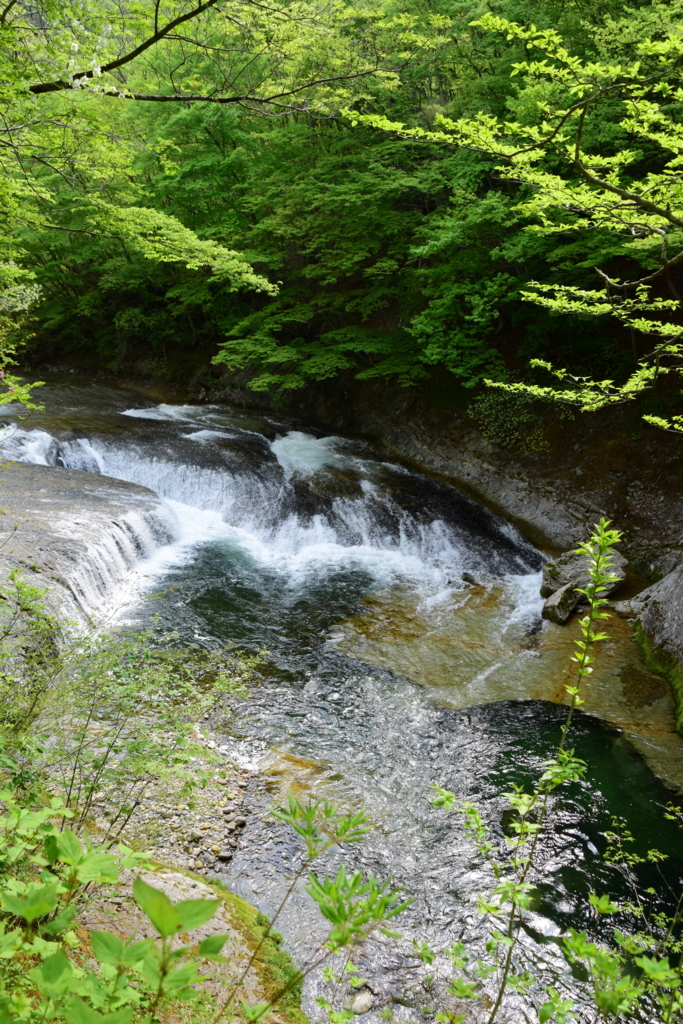 f:id:rtaroyma:20180501181837j:plain