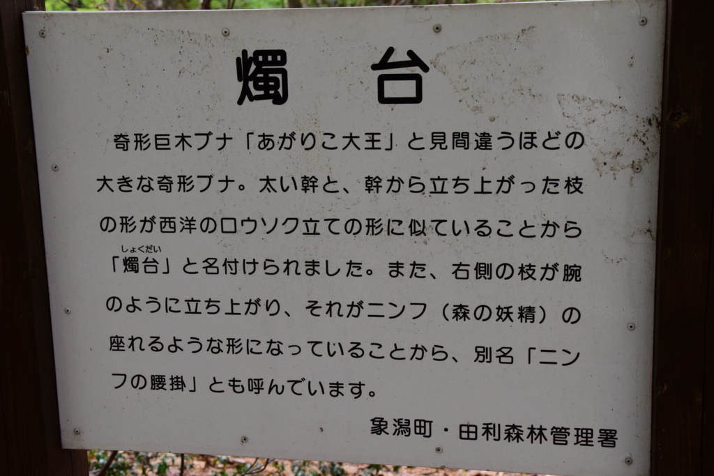 f:id:rtaroyma:20180508183347j:plain