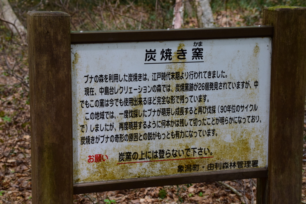 f:id:rtaroyma:20180508183811j:plain