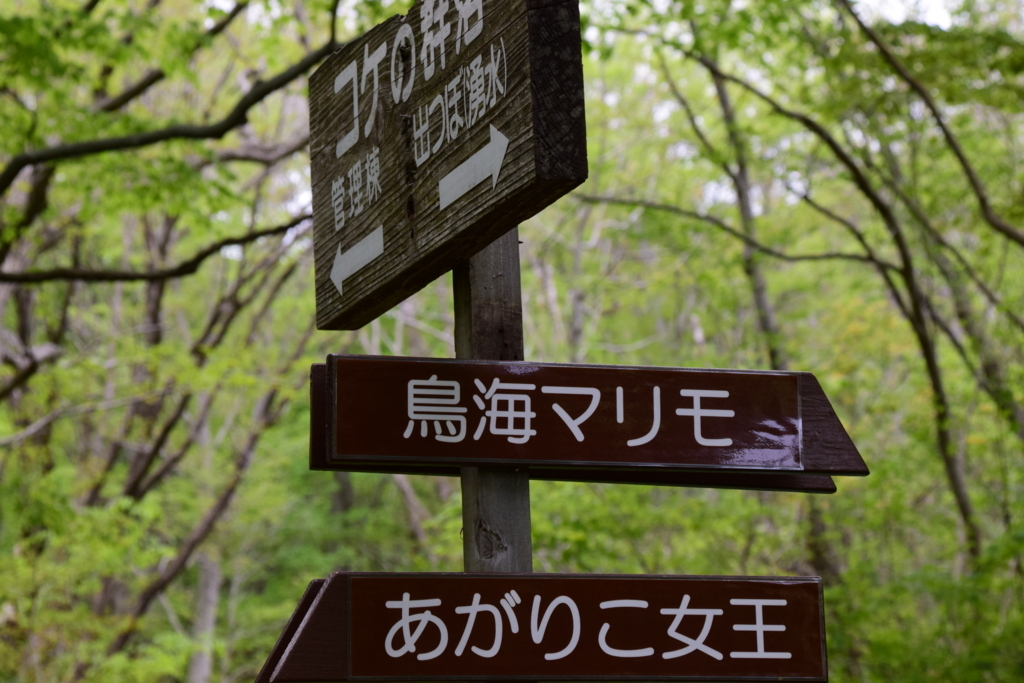 f:id:rtaroyma:20180508185622j:plain