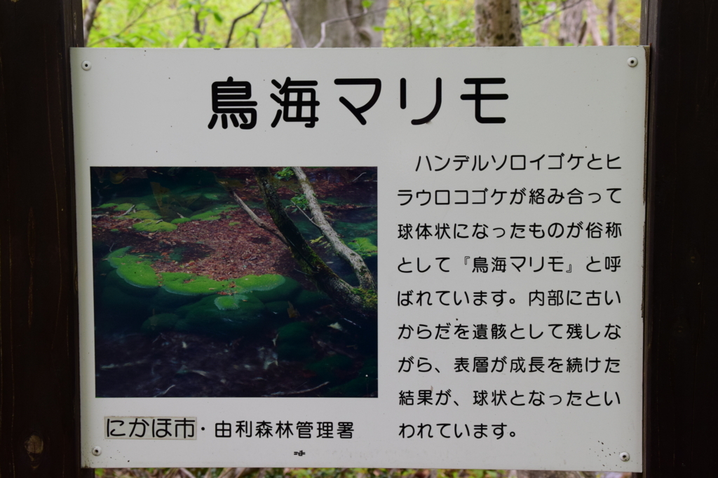 f:id:rtaroyma:20180508185854j:plain