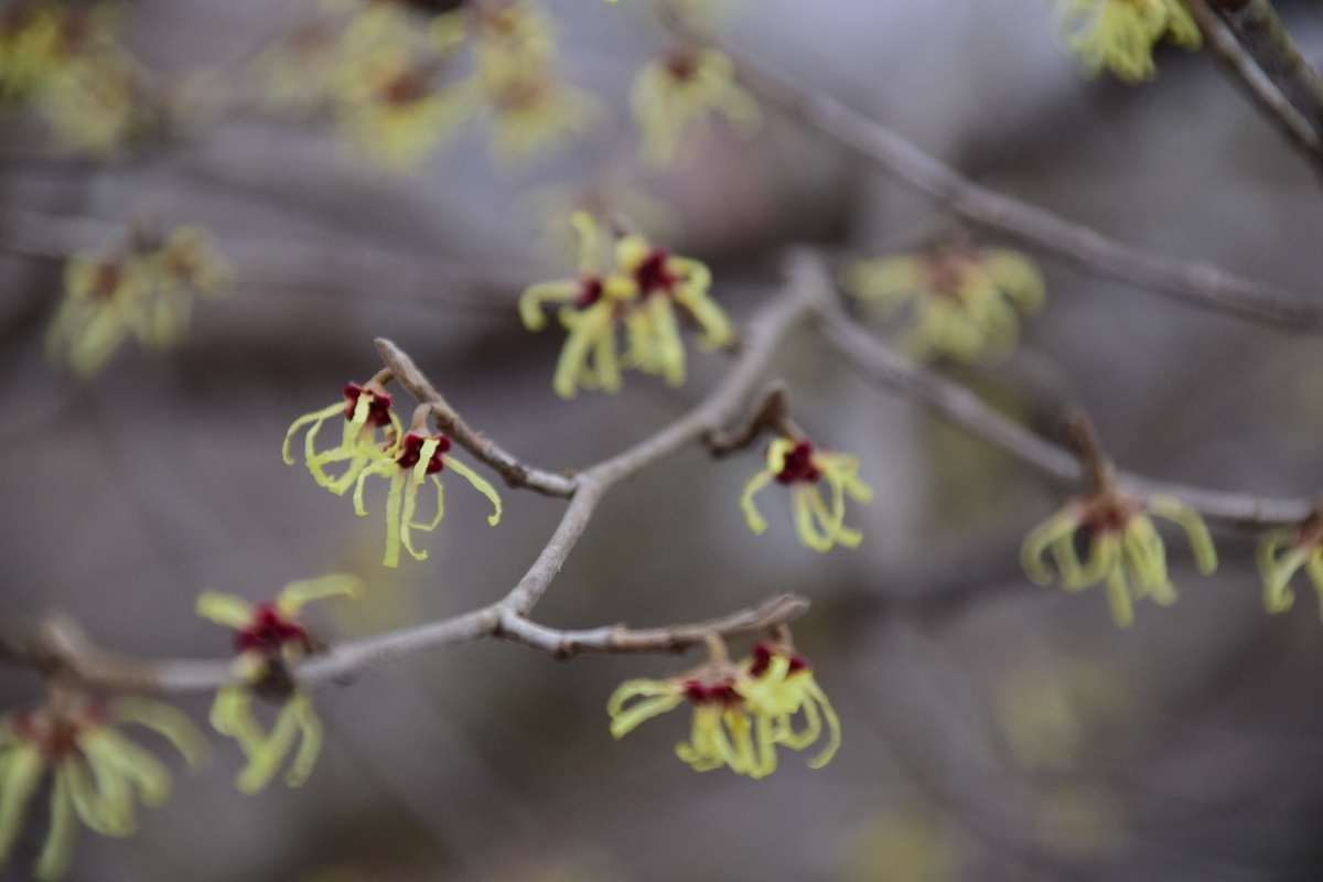 f:id:rtaroyma:20190407130658j:plain f:id:rtaroyma:20190407130658j:plain