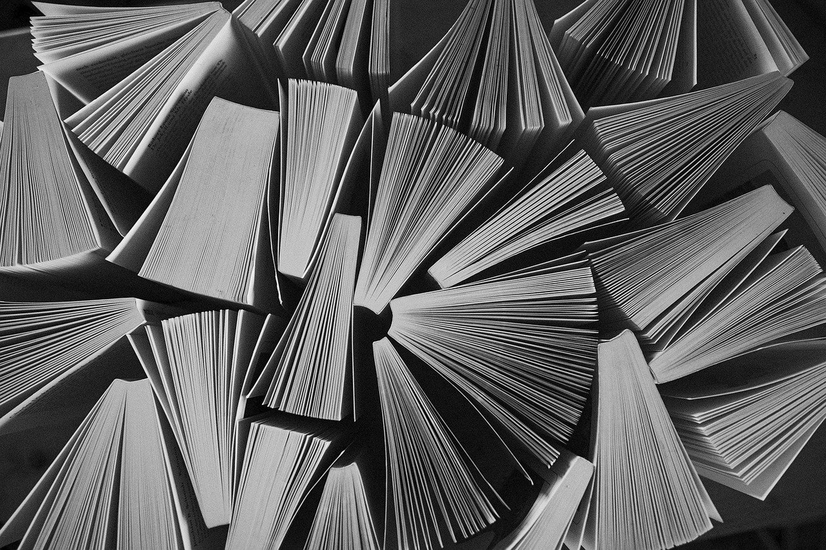 セミリタイアしたら社会保険料が激安になった話