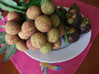 f:id:ru2:20090602174203j:image