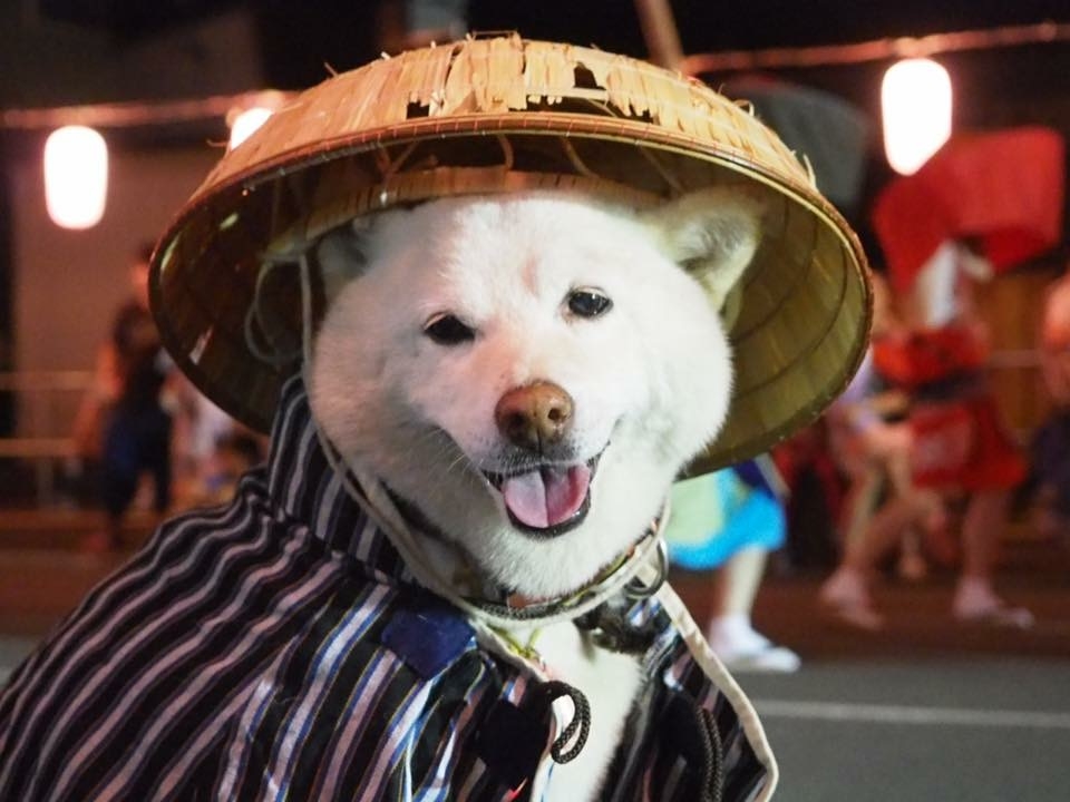 f:id:rubbish-magazine:20190830220441j:plain f:id:rubbish-magazine:20190830220441j:plain