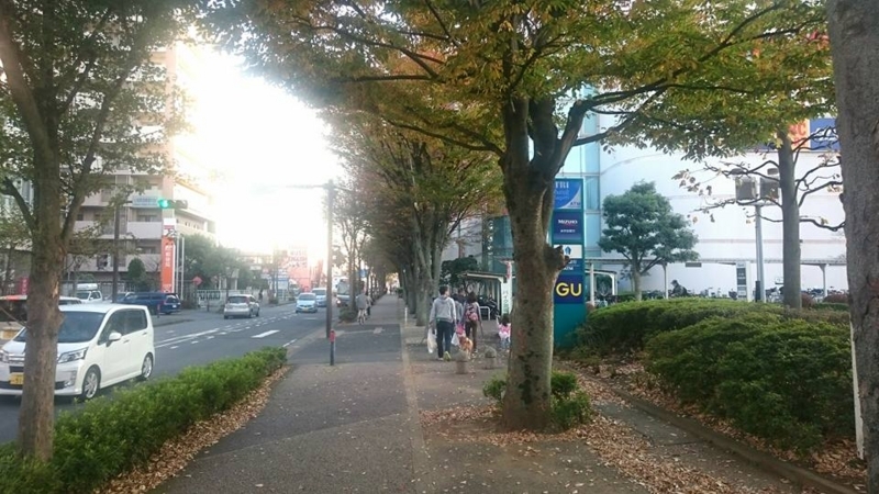 f:id:rubby11:20171109171154j:plain