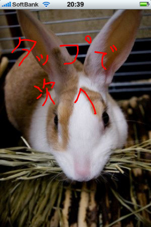 f:id:ruby-U:20100223204918j:image f:id:ruby-U:20100223204918j:image