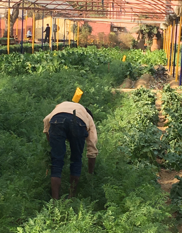 f:id:rubyhiver:20180523151119p:plain