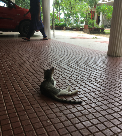 f:id:rubyhiver:20180626034355p:plain