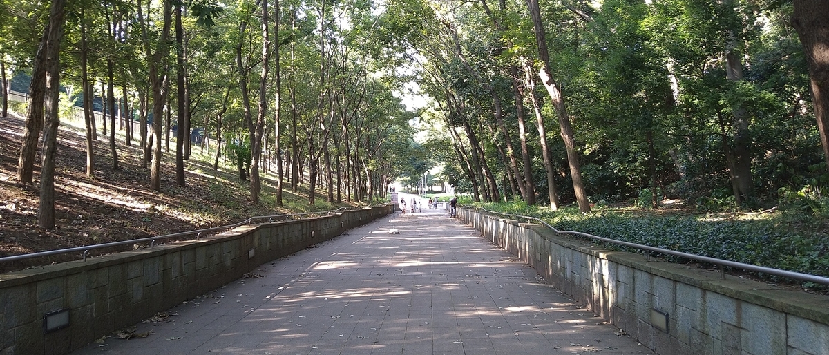 f:id:rubytomato:20200815235508j:plain