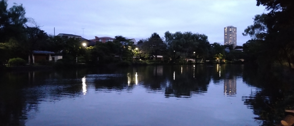 f:id:rubytomato:20200919200522j:plain