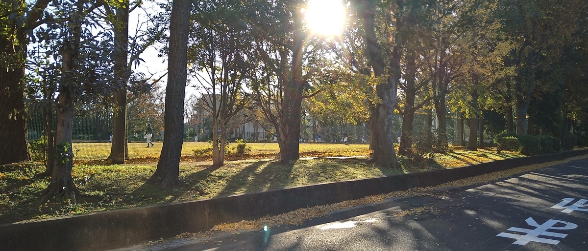 f:id:rubytomato:20201121203127j:plain