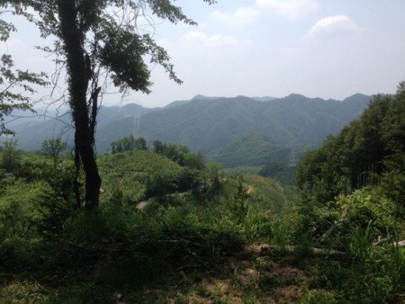 f:id:rucke:20130603232254j:image