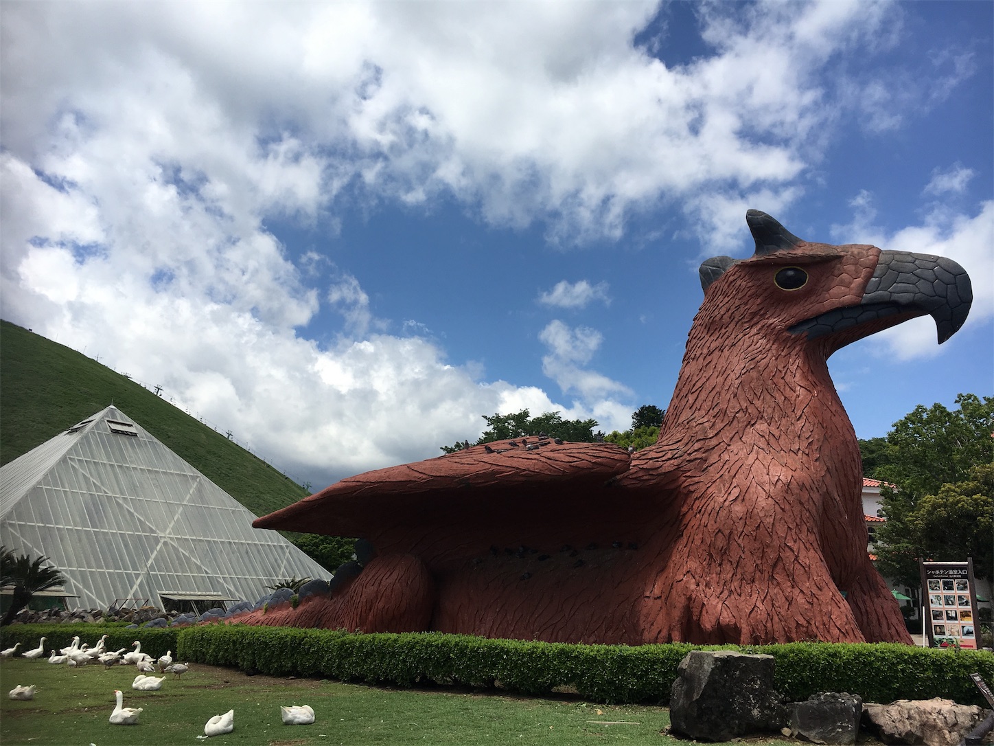 f:id:ruco6ruco:20190530222802j:image