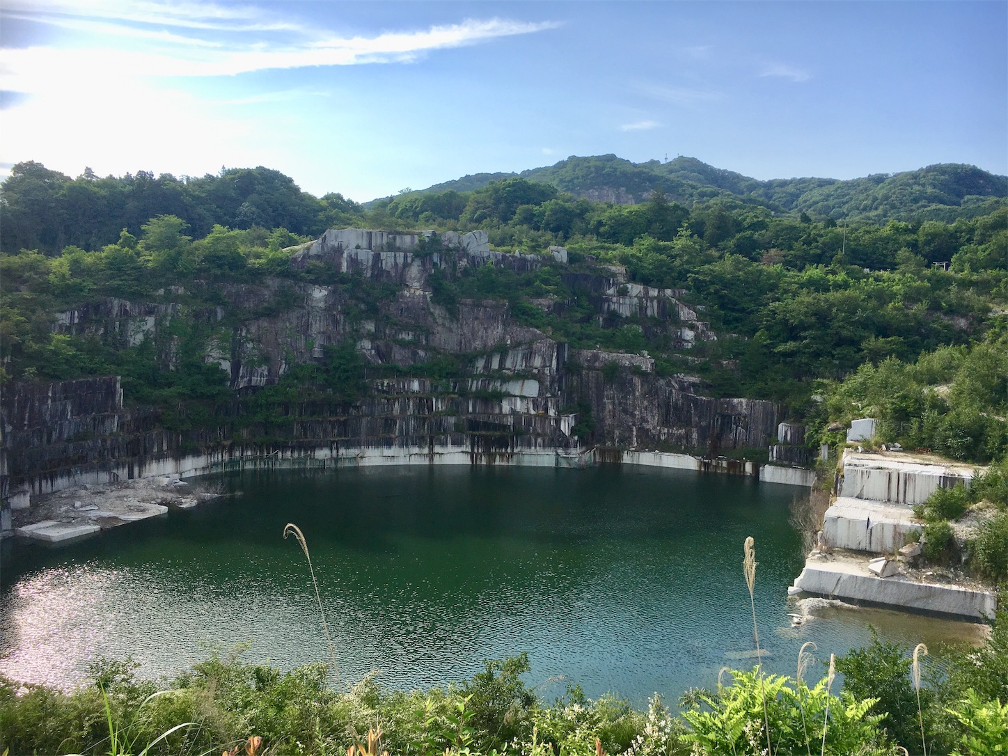 f:id:ruco6ruco:20190603211123j:image