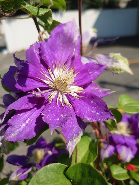 f:id:rudolf1981:20240706101952j:image