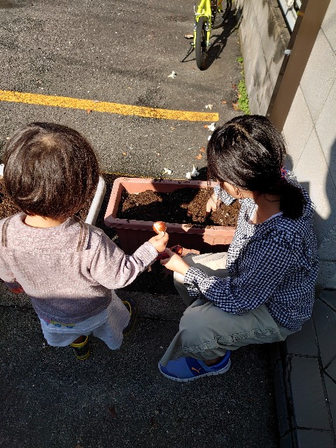 f:id:rudolf1981:20241108160304j:image