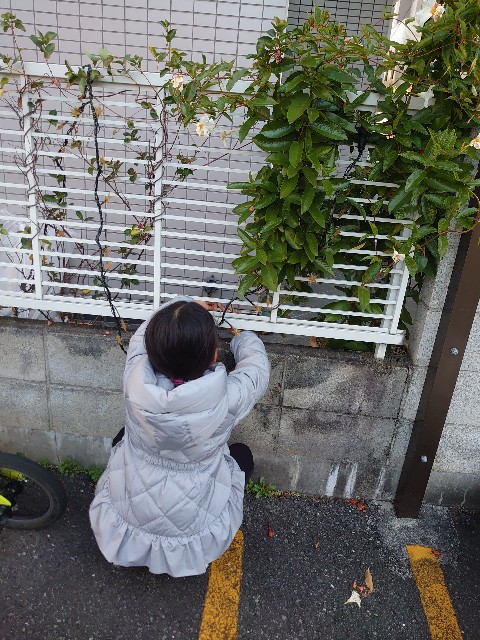 f:id:rudolf1981:20241203131323j:image
