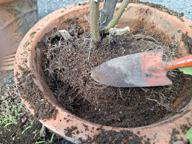 f:id:rudolf1981:20250921163032j:image