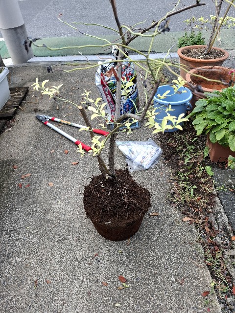 f:id:rudolf1981:20250921163123j:image