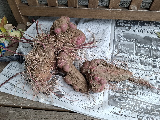 f:id:rudolf1981:20251116223244j:image