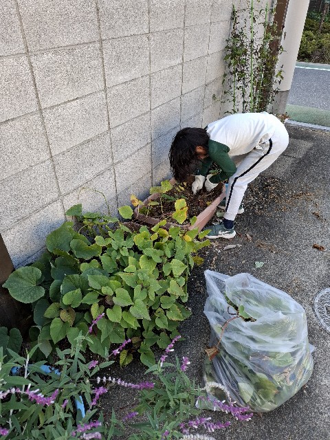 f:id:rudolf1981:20251116223734j:image