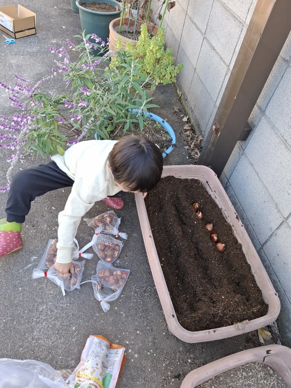 f:id:rudolf1981:20251201192530j:image