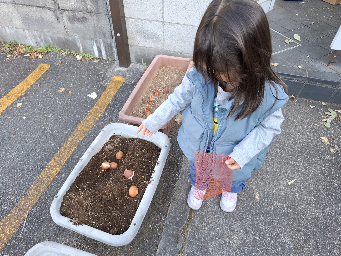 f:id:rudolf1981:20251201192555j:image