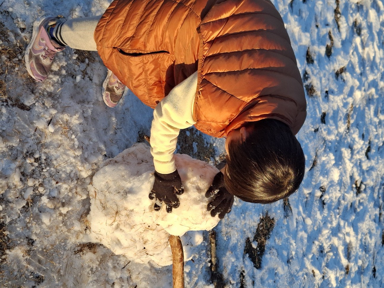 f:id:rudolf1981:20260103171431j:image