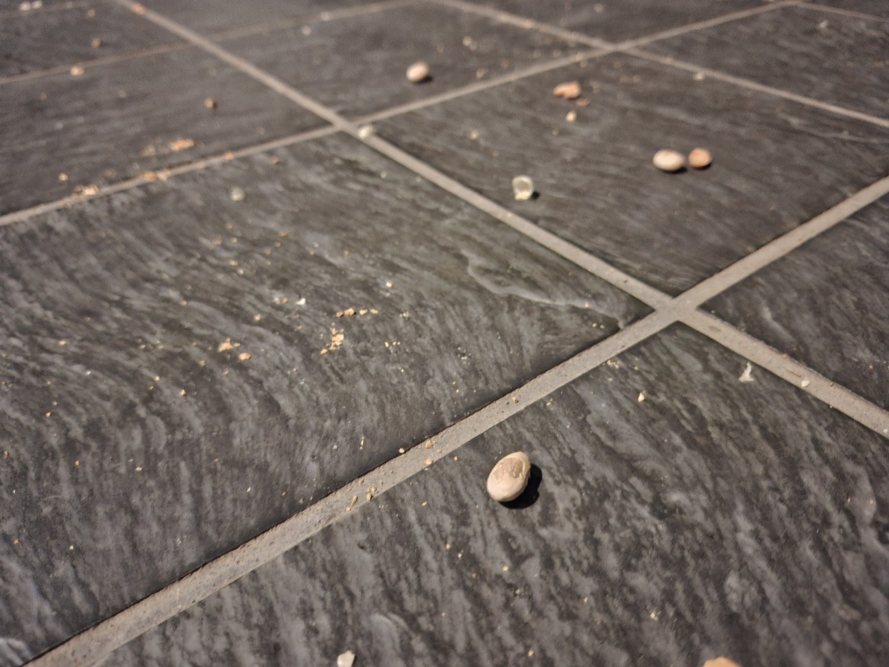 f:id:rudolf1981:20260204195639j:image