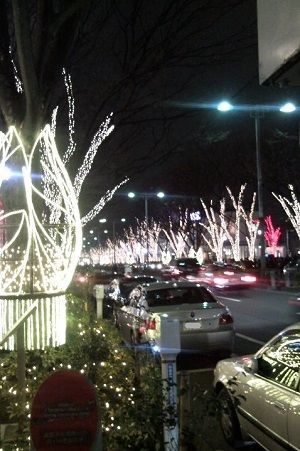 f:id:rue_rouelle39:20201217164847j:plain