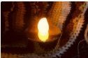 f:id:rue_rouelle39:20210321220145j:plain