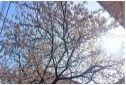 f:id:rue_rouelle39:20210321223607j:plain
