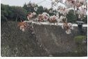 f:id:rue_rouelle39:20210321230515j:plain