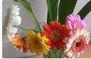 f:id:rue_rouelle39:20210322001537j:plain