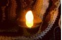 f:id:rue_rouelle39:20210327115722j:plain