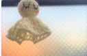f:id:rue_rouelle39:20210401094537j:plain