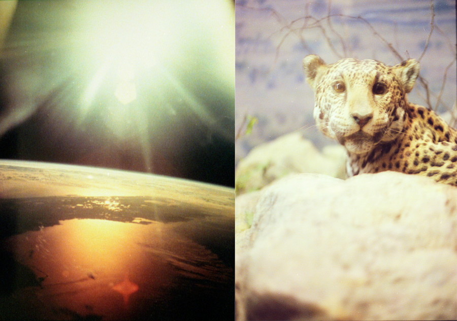 f:id:rufuto2007:20061206162522j:image f:id:rufuto2007:20061206162522j:image