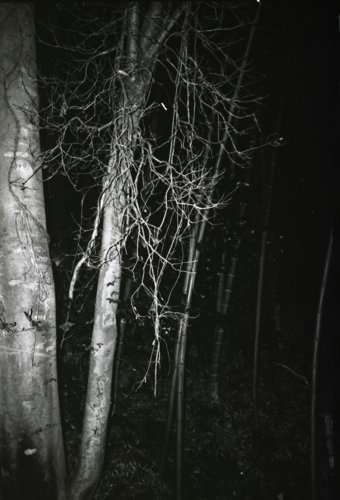 f:id:rufuto2007:20090911235229j:image f:id:rufuto2007:20090911235229j:image