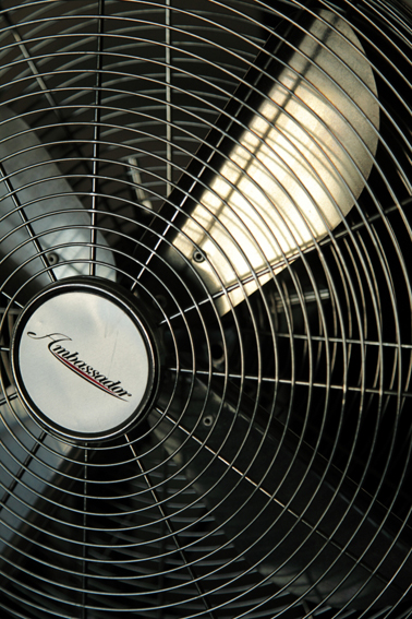 f:id:rufuto2007:20100117121115j:image f:id:rufuto2007:20100117121115j:image