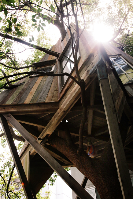 f:id:rufuto2007:20100401122253j:image