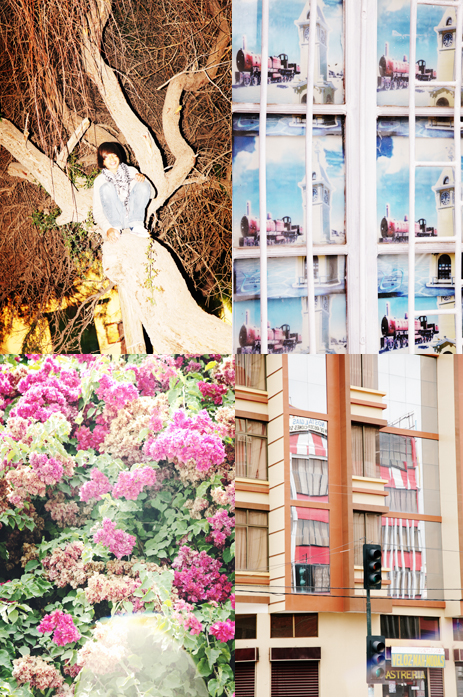 f:id:rufuto2007:20110129111244j:image f:id:rufuto2007:20110129111244j:image